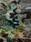 1 Yard 4-Way Stretch Camo Print Shattered Glass Spandex Fabric for Dance Wear, Leggings, Active Wear, and Costumes 36" x 60"